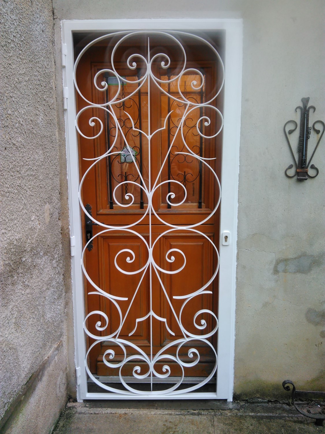 Grille Porte En Ferronnerie D'Art (Randall)